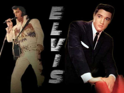 Diamond Painting Elvis Presley dwa etapy - SEOS Shop ®