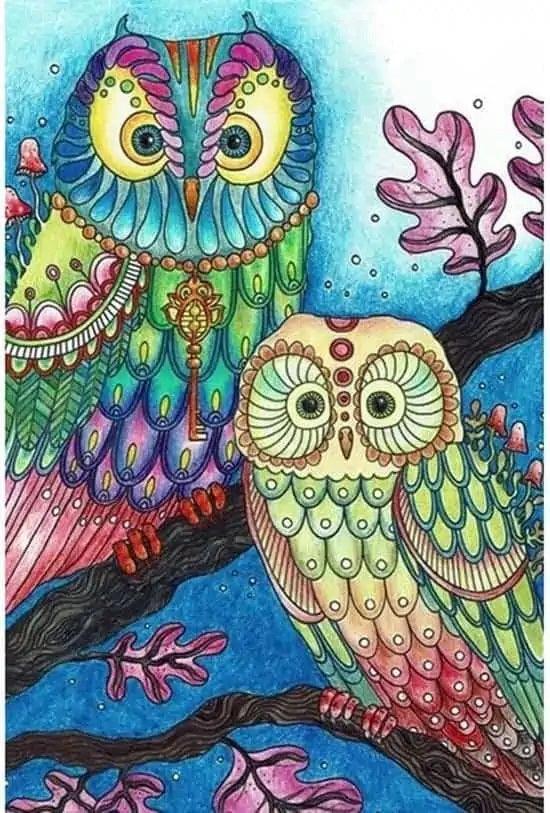 Diamond Painting - Kolorowa Sowa - SEOS®