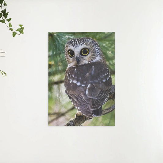Diamond Painting Żółte Oczy Sowy - SEOS Shop ®