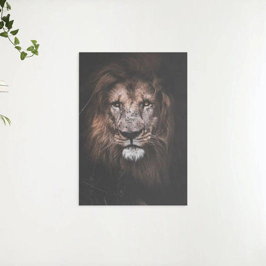 Diamond Painting Wielki lew - SEOS Shop ®