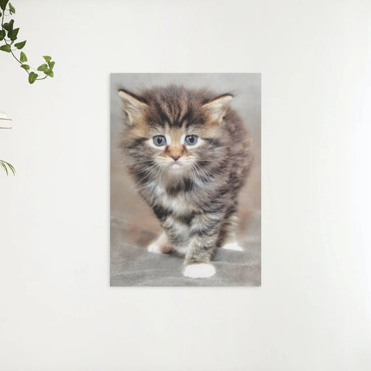 Diamond Painting Włochata kotka - SEOS Shop ®