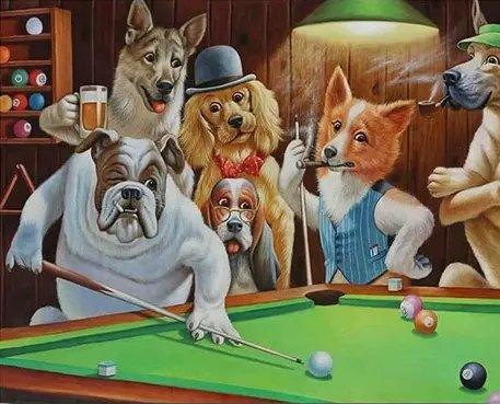 Diamond Painting Psy Bawiące Się w Basenie - SEOS Shop ®