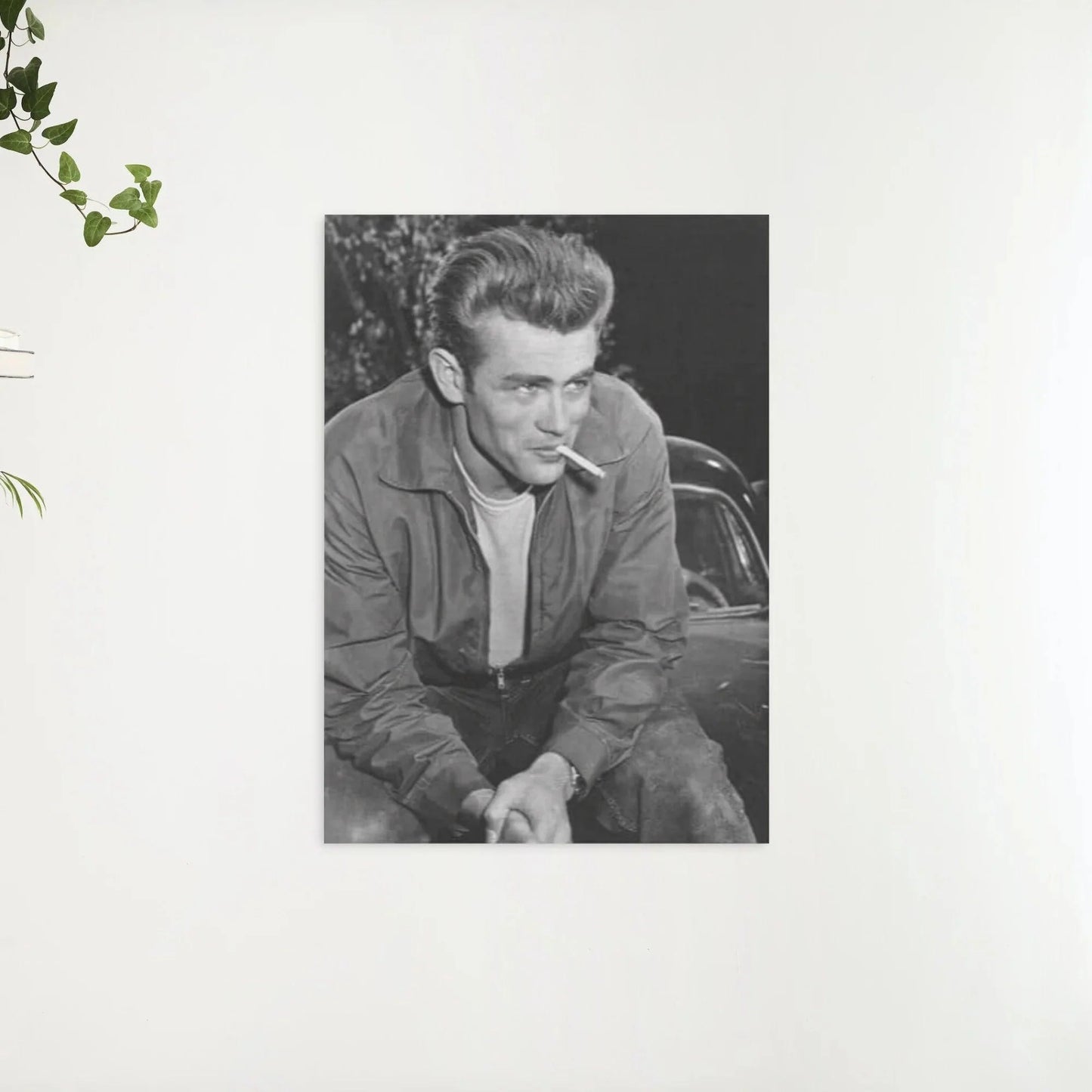 Diamond Painting James Dean czarno-biały - SEOS Shop ®