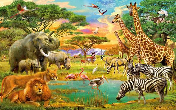 Diamond Painting Dżungli zwierzęta – SEOS Shop ®