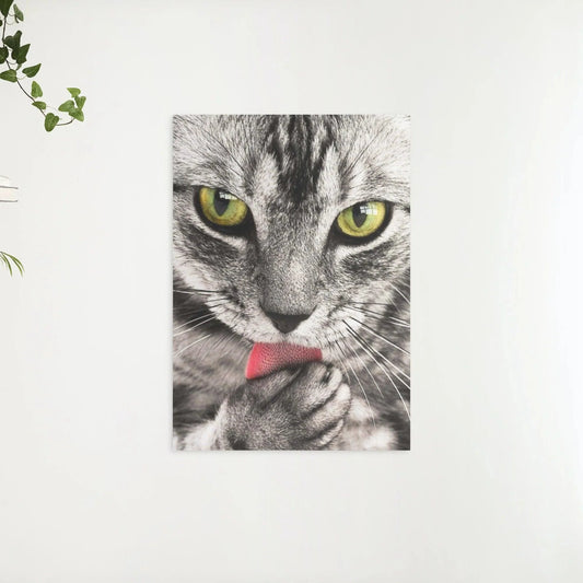 Diamond Painting Kot liżący rękę - SEOS Shop ®