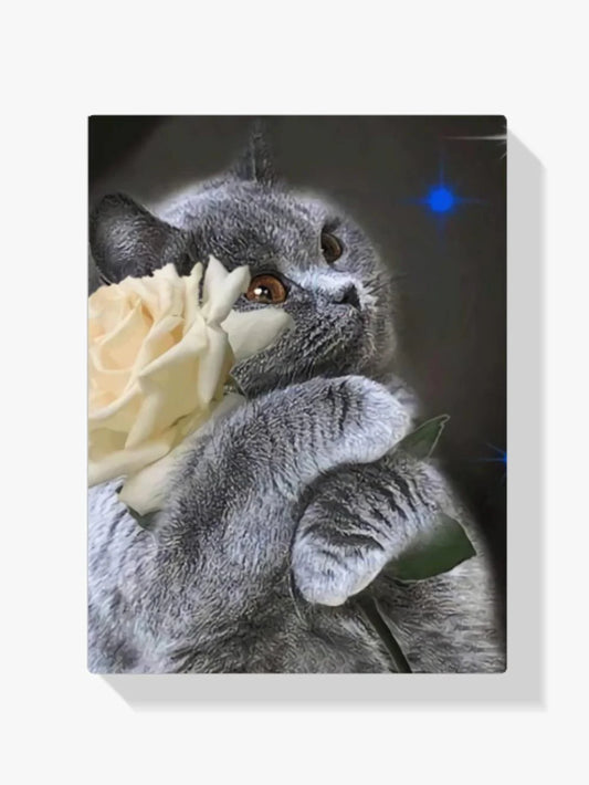 Diamond Painting Kot z białą różą - SEOS Shop ®