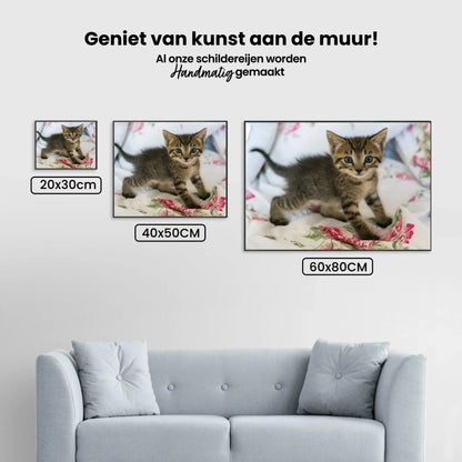 Diamond Painting Kot na łóżku - SEOS Shop ®