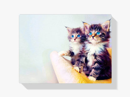 Diamond Painting Kociaki z niebieskimi oczami - SEOS Shop ®