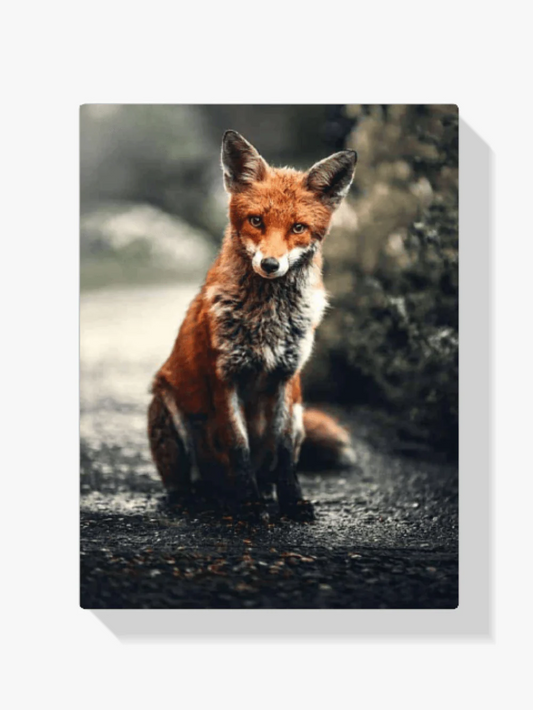 Diamond Painting Mały lis - SEOS Shop ®