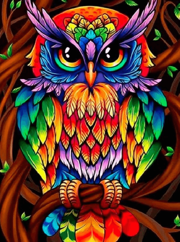 Diamond Painting Kolorowa sówka - SEOS Shop ®