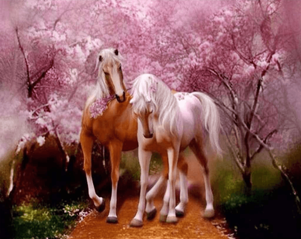 Diamond Painting Kochawe konie - SEOS Shop ®