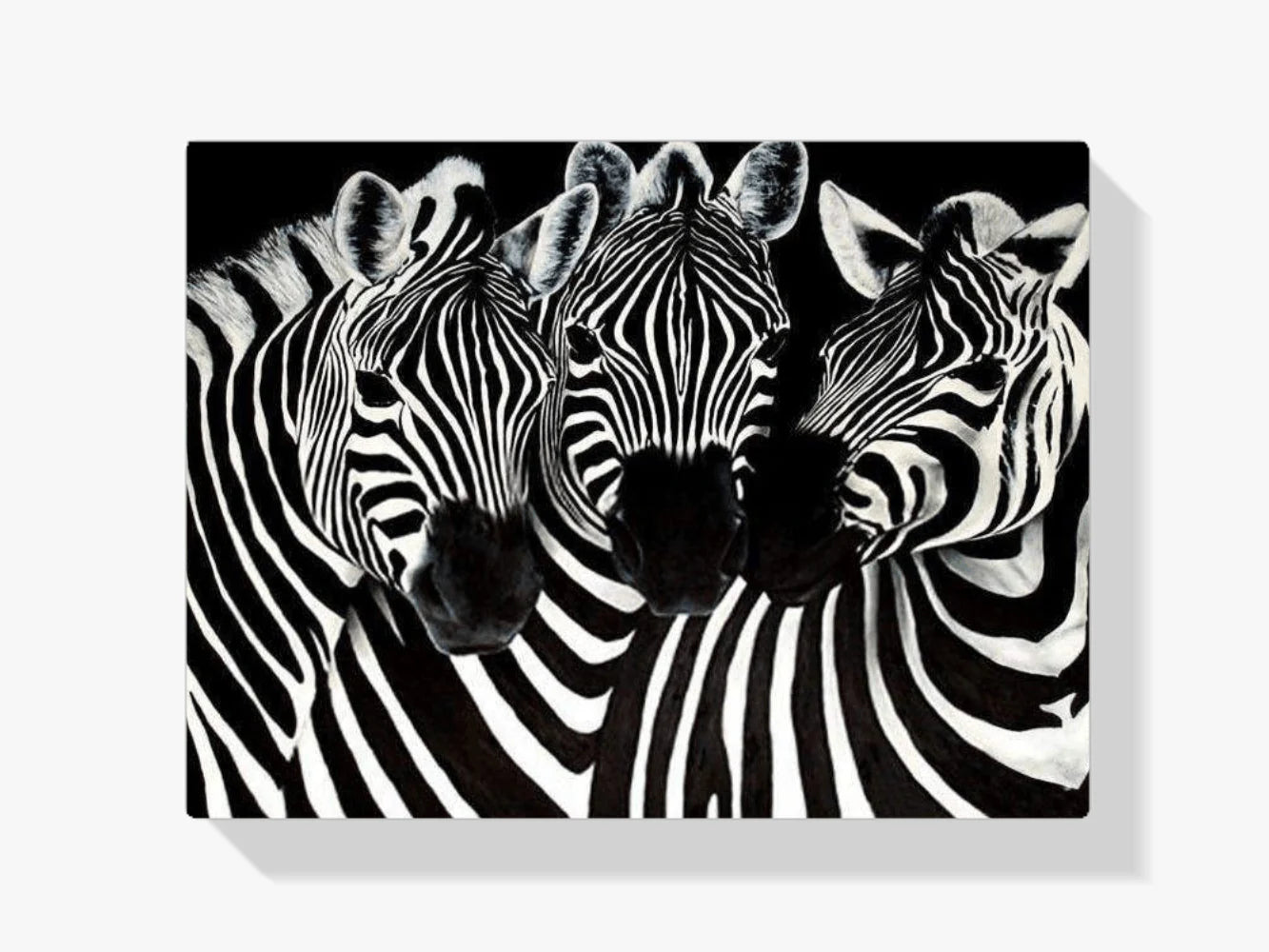 Diamond Painting Urocze Zebry – SEOS Shop ®