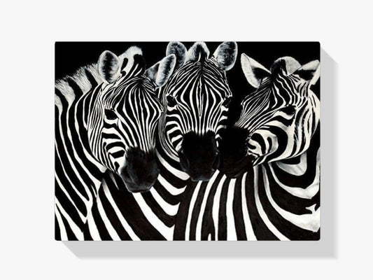 Diamond Painting Urocze Zebry – SEOS Shop ®