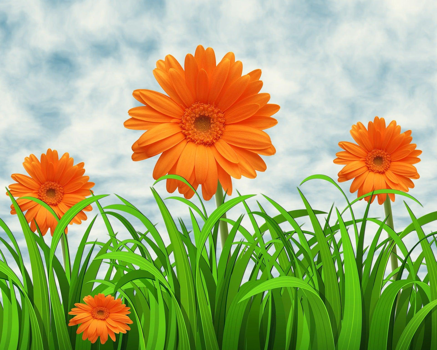 Diamond Painting Pomarańczowe Margerytki - SEOS Shop ®