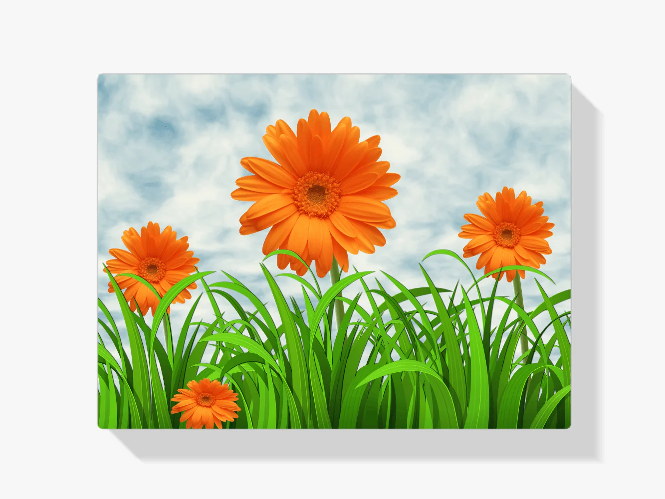 Diamond Painting Pomarańczowe Margerytki - SEOS Shop ®