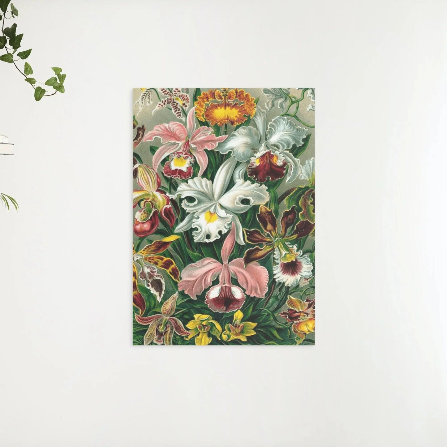 Diamond Painting Orchidea - SEOS Shop ®