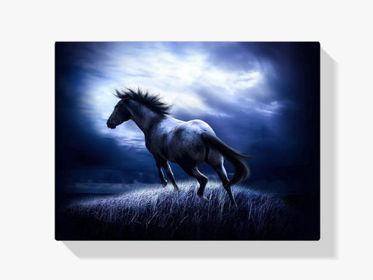 Diamond Painting Koń w ciemności - SEOS Shop ®