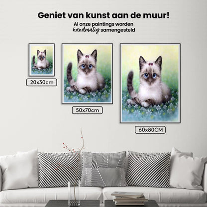 Diamond Painting Zestaw Kotek - SEOS Shop ®