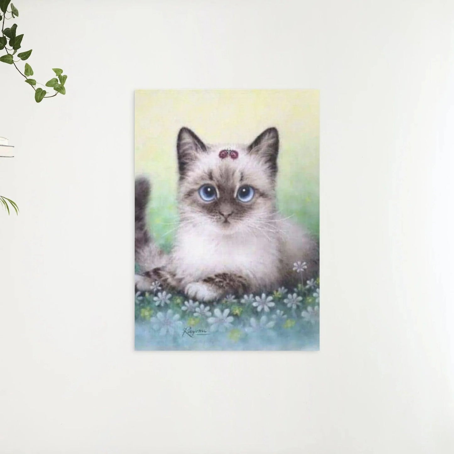 Diamond Painting Zestaw Kotek - SEOS Shop ®