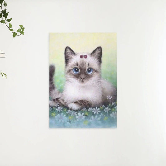 Diamond Painting Zestaw Kotek - SEOS Shop ®