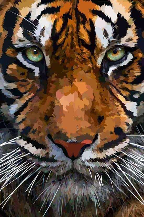 Diamond Painting Pakket Piękna Głowa Tygrysa - SEOS Shop ®