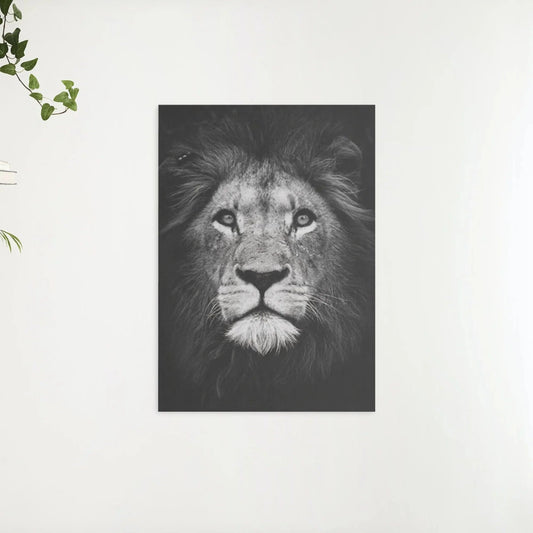 Diamond Painting Pakiet Czarny biały lew - SEOS Shop ®