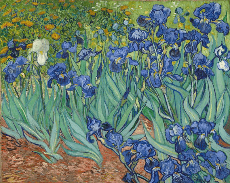 Diamond Painting Piękne kwiaty Van Gogh - SEOS Shop ®