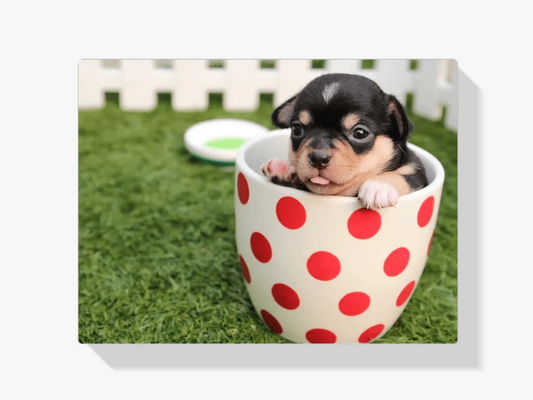Diamond Painting Puppy w kubku 45x30 cm - SEOS Shop®