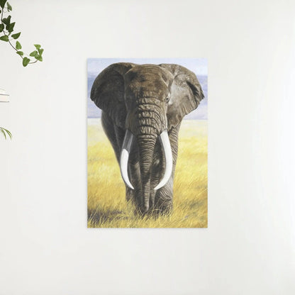 Diamond Painting Safari Słoń z kłami - SEOS Shop ®
