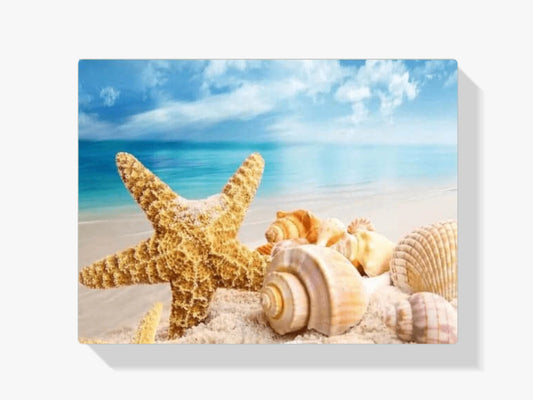 Diamond Painting Muszle na plaży – 40x50 cm – SEOS Shop ®