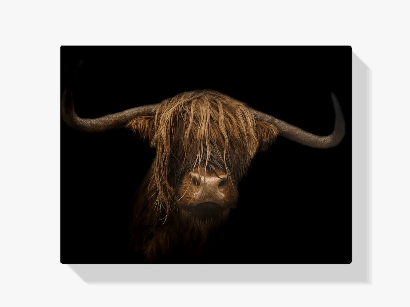 Diamond Painting Szkocki Highlands - Majestatyczny szkocki highlander w obrazie - SEOS Shop ®