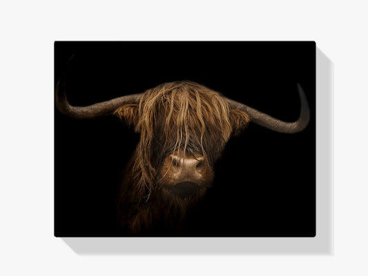 Diamond Painting Szkocki Highlands - Majestatyczny szkocki highlander w obrazie - SEOS Shop ®