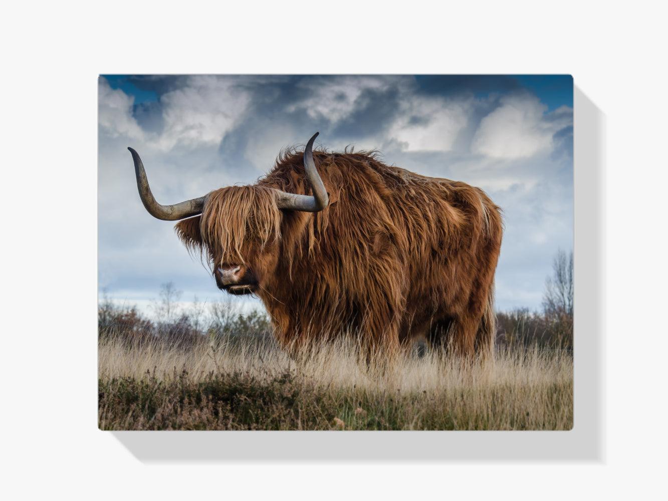 Diamond Painting Szkocki Highlands - SEOS Shop ®
