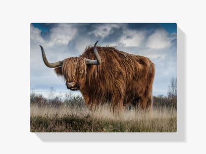 Diamond Painting Szkocki Highlands - SEOS Shop ®