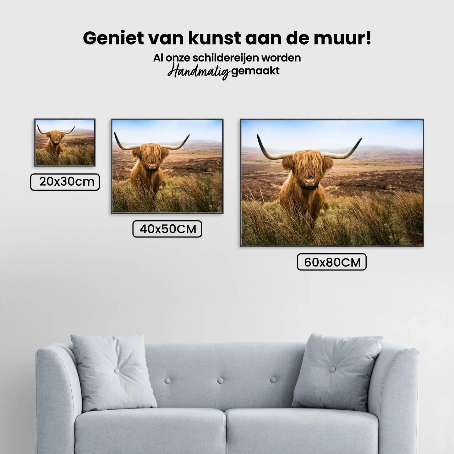 Diamond Painting Szkocki wyżłówek - Szkocki wyżłówek na polu patrzy w kamerę - SEOS Shop ®