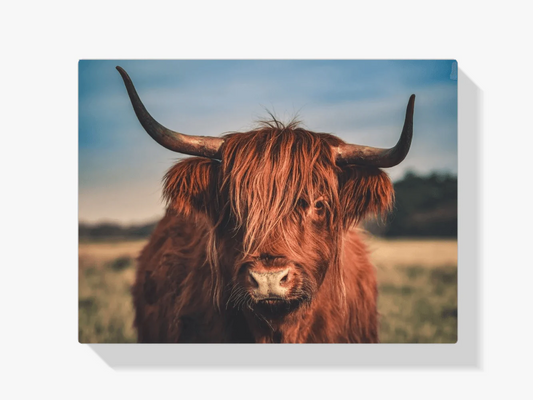 Diamond Painting Szkocki Highlander - Szkocki Highlander na wolności - SEOS Shop ®
