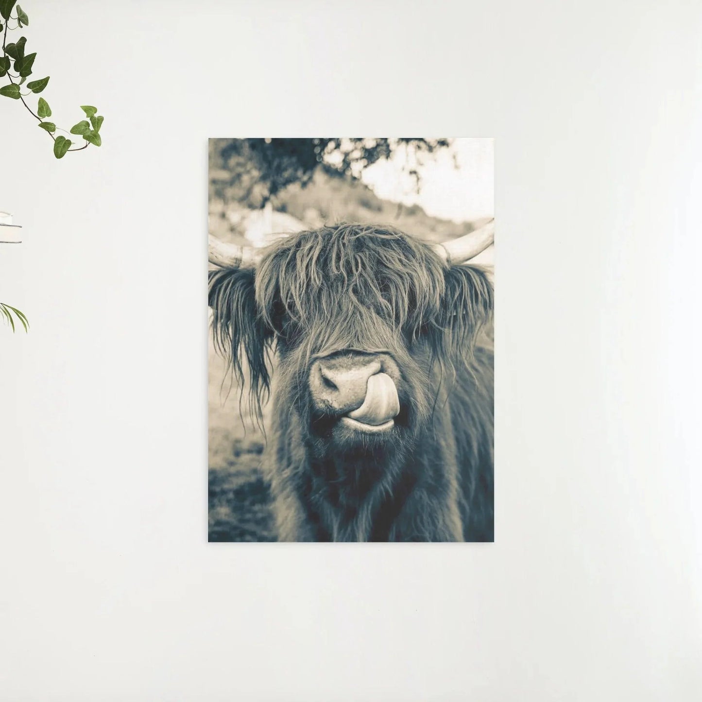 Diamond Painting Szkocki Highlander - Szkocki Highlander w stylu sepii - SEOS Shop ®