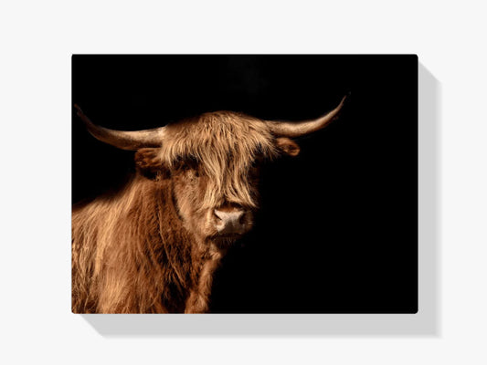 Diamond Painting Szkocki Highlander - Szkocki highlander, znany również jako krowa z wyżyny w obrazie - SEOS Shop ®