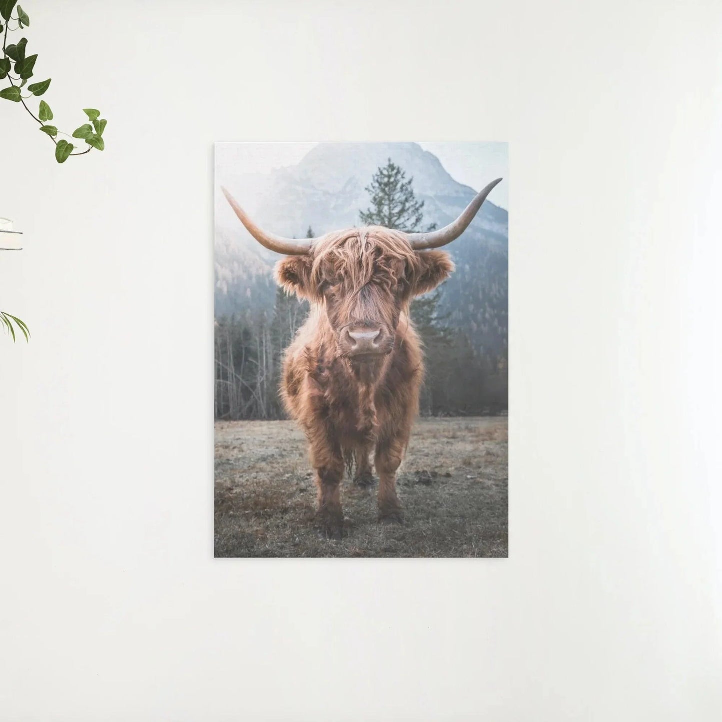 Diamond Painting Szkocki Highlander - Szkocki Highlander na zamrożonej łące w włoskich górach - SEOS Shop ®