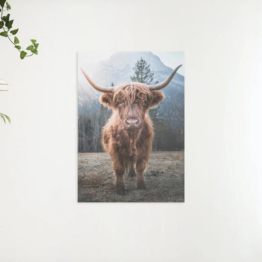 Diamond Painting Szkocki Highlander - Szkocki Highlander na zamrożonej łące w włoskich górach - SEOS Shop ®