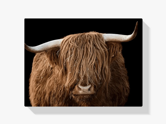Diamond Painting Szkocki Highlander - Szkocki Highlander z bliska - SEOS Shop ®