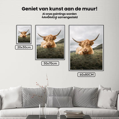 Diamond Painting Szkocki highlander - Odważny szkocki highlander odpoczywający na równinie - SEOS Shop ®