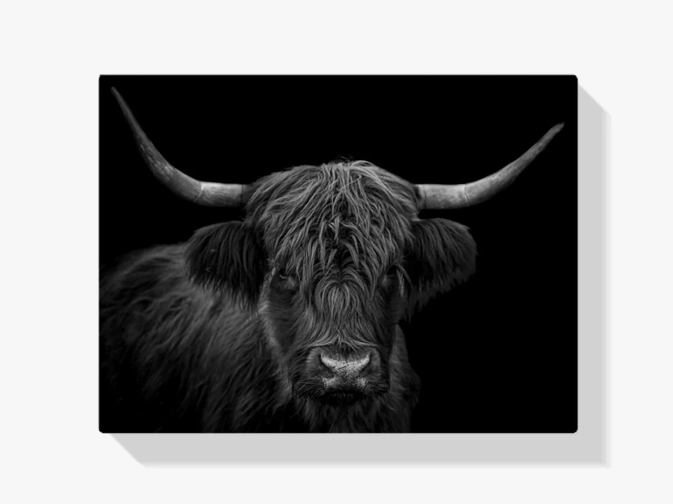 Diamond Painting Szkocki Highlander - Czarnobiałe portret włochatego Szkockiego Highlandera - SEOS Shop ®