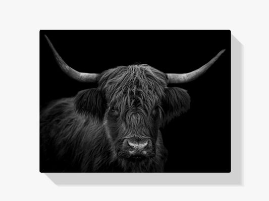 Diamond Painting Szkocki Highlander - Czarnobiałe portret włochatego Szkockiego Highlandera - SEOS Shop ®