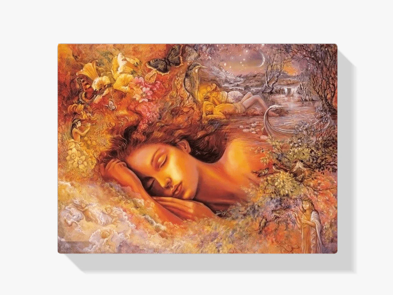 Diamond Painting Śpiące wróżki - SEOS Shop ®