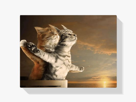 Diamond Painting Titanic Koty - SEOS Shop ®