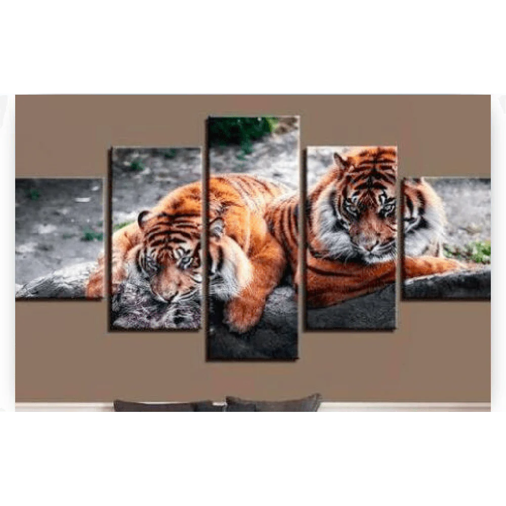 Diamond Painting Dwie leżące tygrysy 5 części - SEOS Shop ®