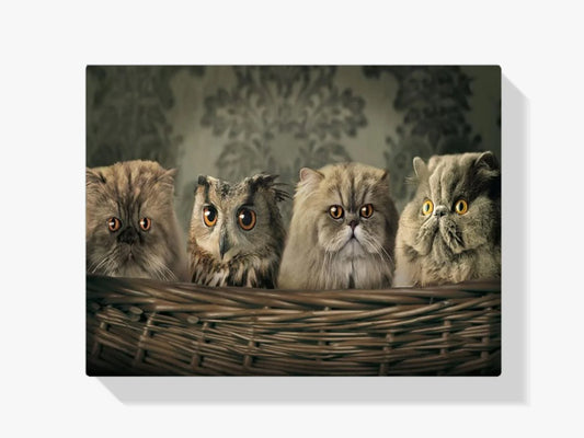 Diamond Painting Sowa i koty w koszyku - SEOS Shop ®