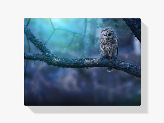 Diamond Painting Sowa na gałęzi – SEOS Shop ®