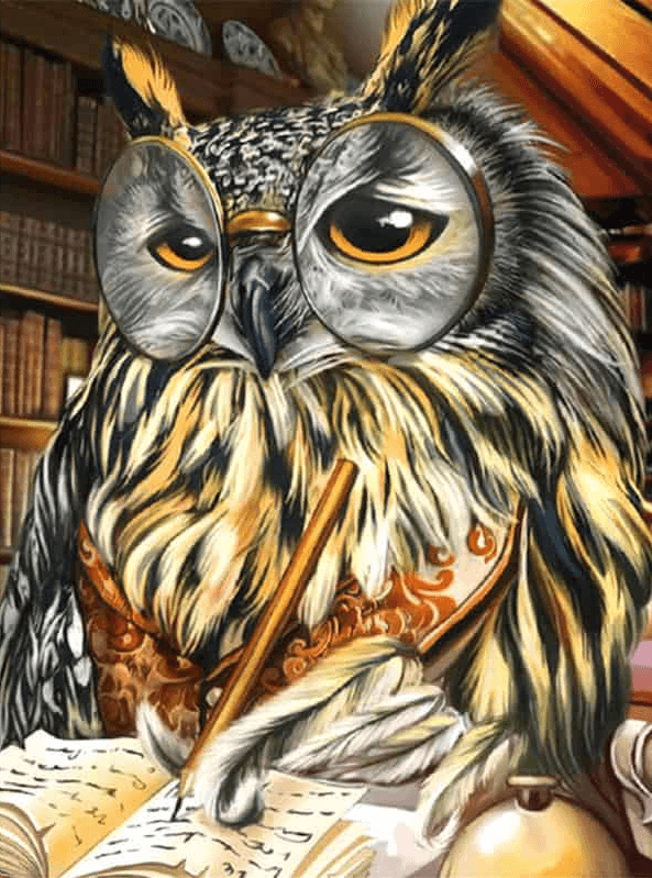 Diamond Painting Sowa pisze na papierze - SEOS Shop ®